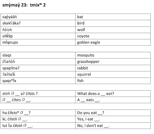 smy̓may̓ 23:  tmixʷ 2