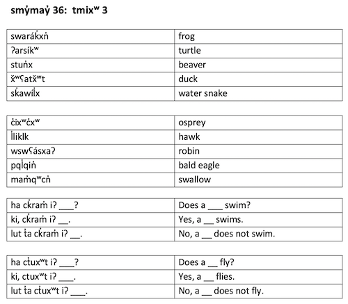smy̓may̓ 36: tmixʷ 3