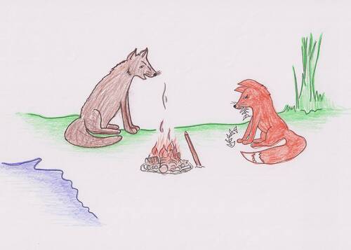 Coyote and Fox Fishing